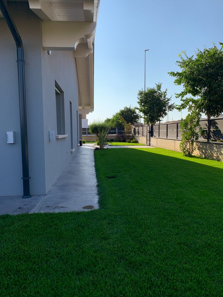 IMG 3934